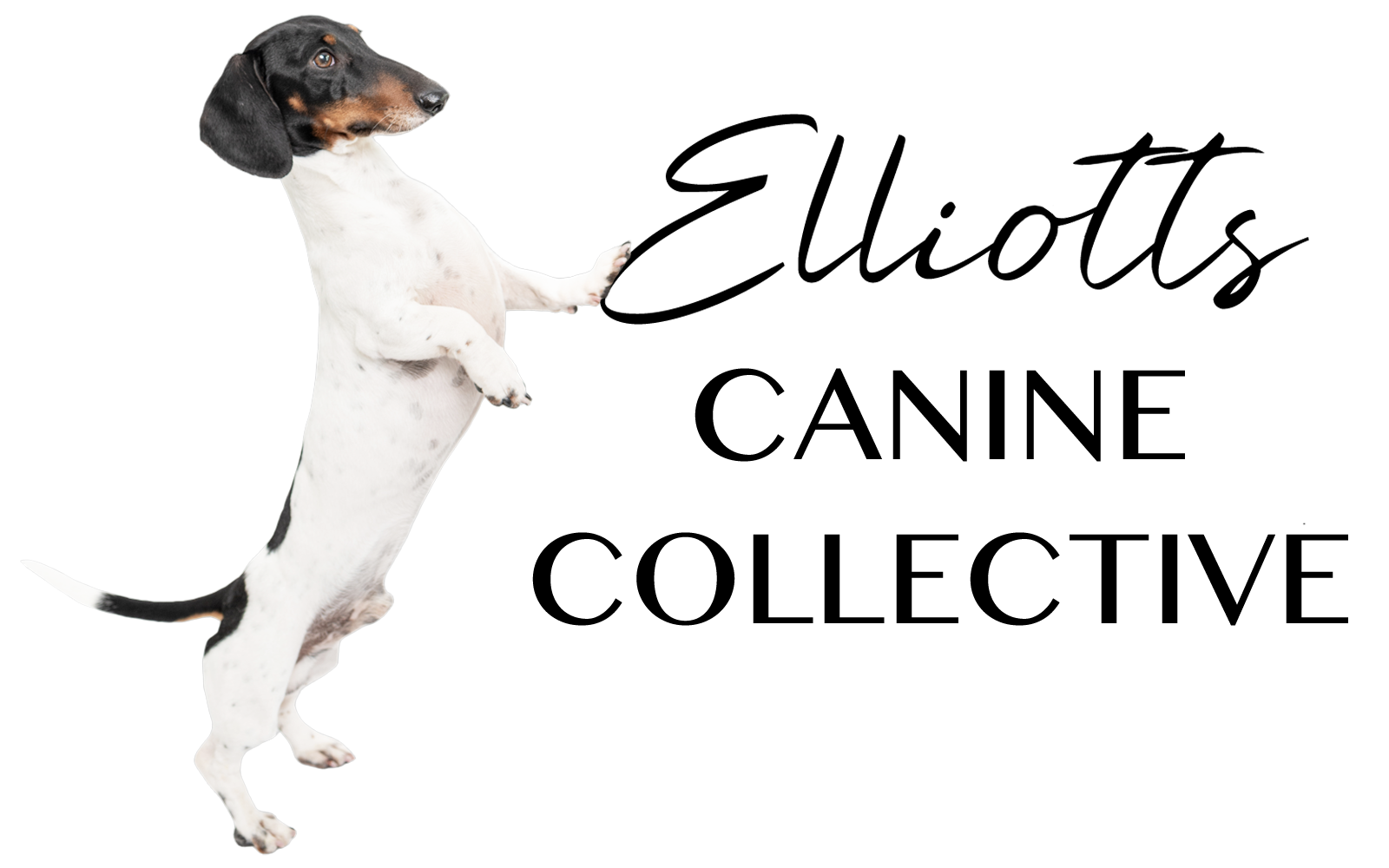 Elliotts Canine Collective logo